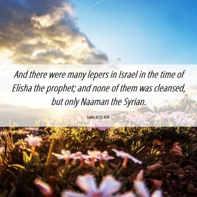 Picture 06 - Luke 4:27 ASV - And there were many lepers in Israel in the time - Bible Verse Picture
