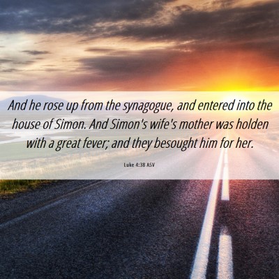 Picture 06 - Luke 4:38 ASV - And he rose up from the synagogue, and entered - Bible Verse Picture