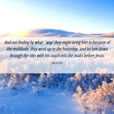 Picture 06 - Luke 5:19 ASV - And not finding by what `way' they might bring - Bible Verse Picture