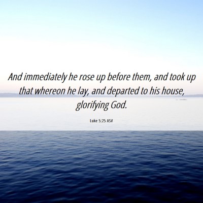 Picture 06 - Luke 5:25 ASV - And immediately he rose up before them, and took - Bible Verse Picture