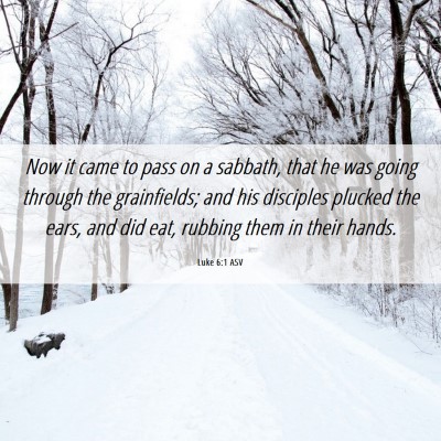 Picture 06 - Luke 6:1 ASV - Now it came to pass on a sabbath, that he was - Bible Verse Picture