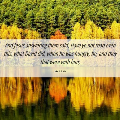 Picture 06 - Luke 6:3 ASV - And Jesus answering them said, Have ye not read - Bible Verse Picture