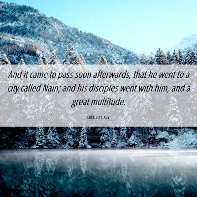 Picture 06 - Luke 7:11 ASV - And it came to pass soon afterwards, that he went - Bible Verse Picture