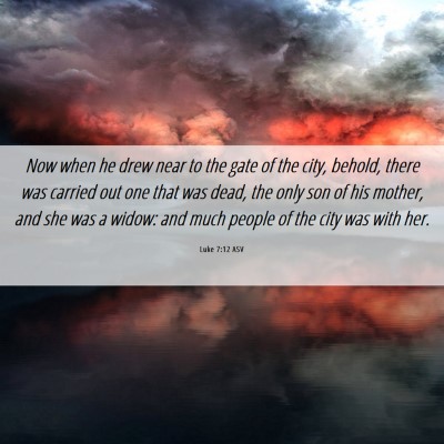 Picture 06 - Luke 7:12 ASV - Now when he drew near to the gate of the city, - Bible Verse Picture