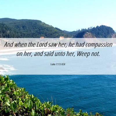 Picture 06 - Luke 7:13 ASV - And when the Lord saw her, he had compassion on - Bible Verse Picture