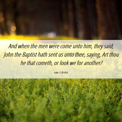 Picture 06 - Luke 7:20 ASV - And when the men were come unto him, they said, - Bible Verse Picture