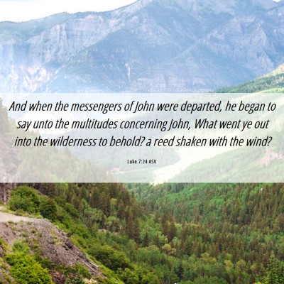 Picture 06 - Luke 7:24 ASV - And when the messengers of John were departed, he - Bible Verse Picture