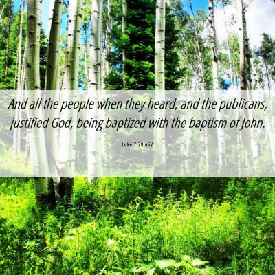 Picture 06 - Luke 7:29 ASV - And all the people when they heard, and the - Bible Verse Picture