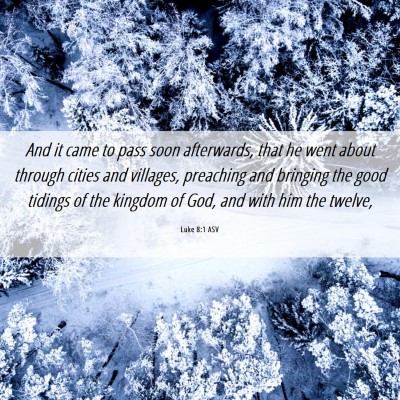 Picture 06 - Luke 8:1 ASV - And it came to pass soon afterwards, that he went - Bible Verse Picture