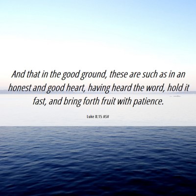 Picture 06 - Luke 8:15 ASV - And that in the good ground, these are such as in - Bible Verse Picture
