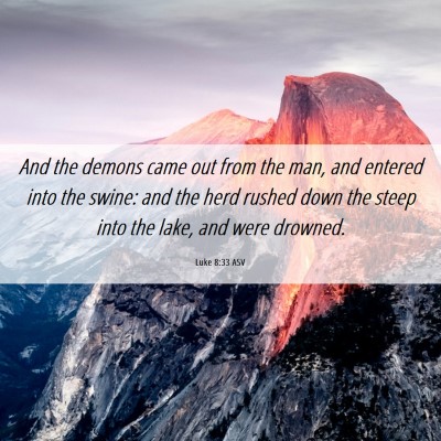 Picture 06 - Luke 8:33 ASV - And the demons came out from the man, and entered - Bible Verse Picture