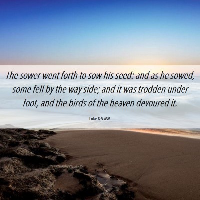Picture 06 - Luke 8:5 ASV - The sower went forth to sow his seed: and as he - Bible Verse Picture