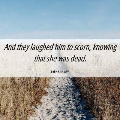 Picture 06 - Luke 8:53 ASV - And they laughed him to scorn, knowing that she - Bible Verse Picture