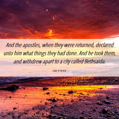 Picture 06 - Luke 9:10 ASV - And the apostles, when they were returned, - Bible Verse Picture