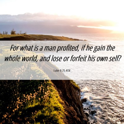 Picture 06 - Luke 9:25 ASV - For what is a man profited, if he gain the whole - Bible Verse Picture