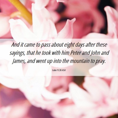 Picture 06 - Luke 9:28 ASV - And it came to pass about eight days after these - Bible Verse Picture