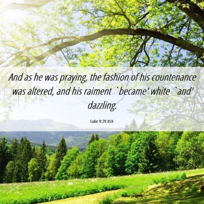 Picture 06 - Luke 9:29 ASV - And as he was praying, the fashion of his - Bible Verse Picture