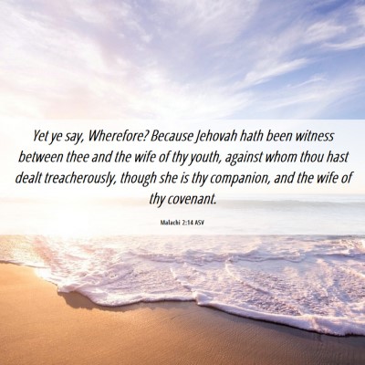 Picture 06 - Malachi 2:14 ASV - Yet ye say, Wherefore? Because Jehovah hath been - Bible Verse Picture