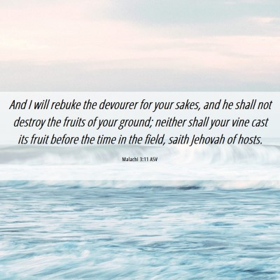 Picture 06 - Malachi 3:11 ASV - And I will rebuke the devourer for your sakes, - Bible Verse Picture