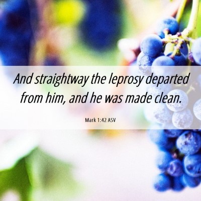 Picture 06 - Mark 1:42 ASV - And straightway the leprosy departed from him, - Bible Verse Picture