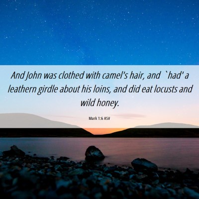 Picture 06 - Mark 1:6 ASV - And John was clothed with camel's hair, and `had' - Bible Verse Picture