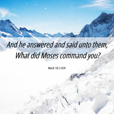 Picture 06 - Mark 10:3 ASV - And he answered and said unto them, What did - Bible Verse Picture