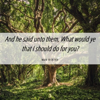 Picture 06 - Mark 10:36 ASV - And he said unto them, What would ye that I - Bible Verse Picture