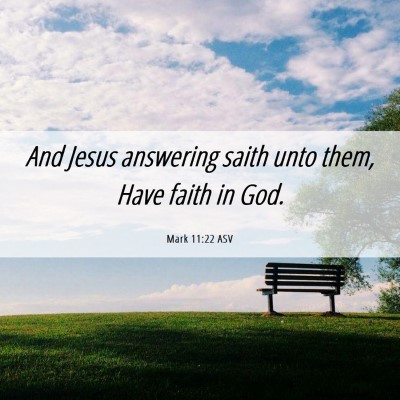 Picture 06 - Mark 11:22 ASV - And Jesus answering saith unto them, Have faith - Bible Verse Picture