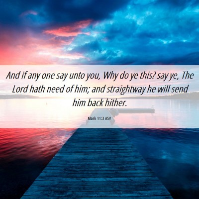 Picture 06 - Mark 11:3 ASV - And if any one say unto you, Why do ye this? say - Bible Verse Picture