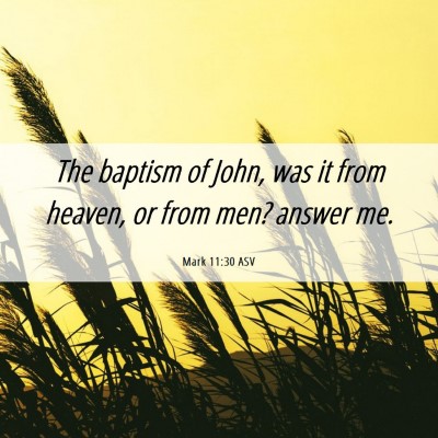 Picture 06 - Mark 11:30 ASV - The baptism of John, was it from heaven, or from - Bible Verse Picture