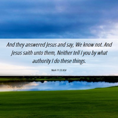 Picture 06 - Mark 11:33 ASV - And they answered Jesus and say, We know not. And - Bible Verse Picture