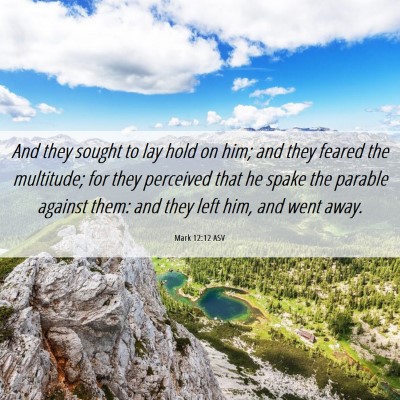 Picture 06 - Mark 12:12 ASV - And they sought to lay hold on him; and they - Bible Verse Picture