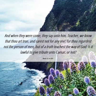 Picture 06 - Mark 12:14 ASV - And when they were come, they say unto him, - Bible Verse Picture