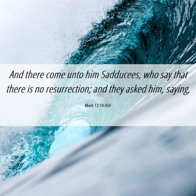 Picture 06 - Mark 12:18 ASV - And there come unto him Sadducees, who say that - Bible Verse Picture