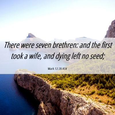 Picture 06 - Mark 12:20 ASV - There were seven brethren: and the first took a - Bible Verse Picture