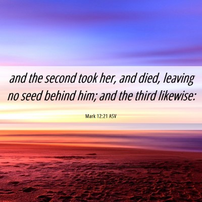 Picture 06 - Mark 12:21 ASV - and the second took her, and died, leaving no - Bible Verse Picture