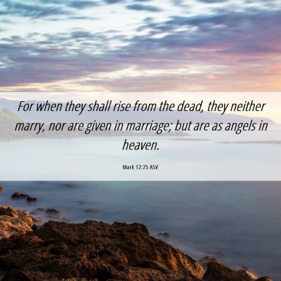 Picture 06 - Mark 12:25 ASV - For when they shall rise from the dead, they - Bible Verse Picture
