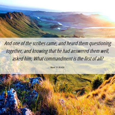 Picture 06 - Mark 12:28 ASV - And one of the scribes came, and heard them - Bible Verse Picture