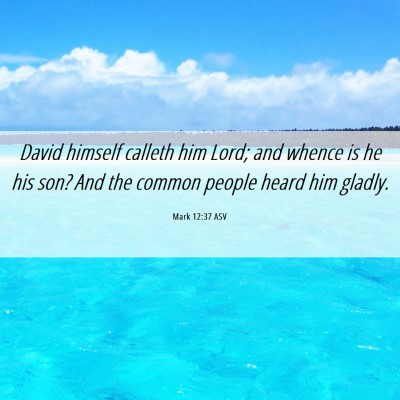 Picture 06 - Mark 12:37 ASV - David himself calleth him Lord; and whence is he - Bible Verse Picture