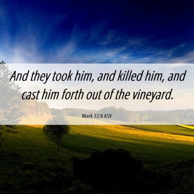 Picture 06 - Mark 12:8 ASV - And they took him, and killed him, and cast him - Bible Verse Picture