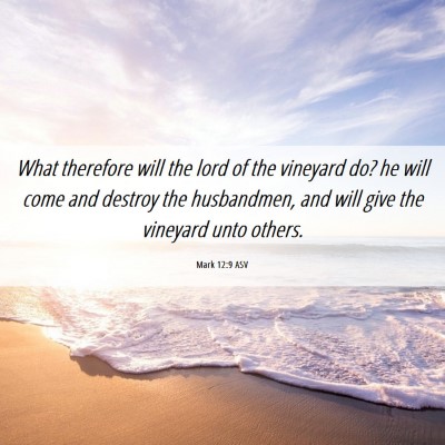 Picture 06 - Mark 12:9 ASV - What therefore will the lord of the vineyard do? - Bible Verse Picture