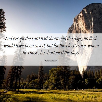 Picture 06 - Mark 13:20 ASV - And except the Lord had shortened the days, no - Bible Verse Picture