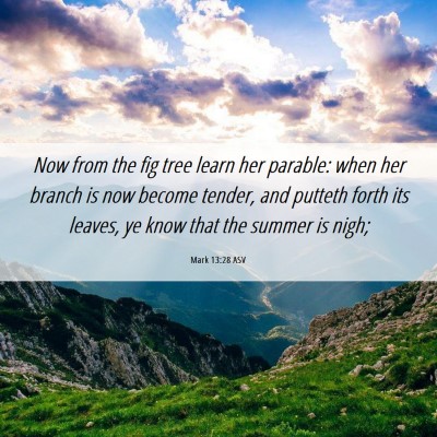 Picture 06 - Mark 13:28 ASV - Now from the fig tree learn her parable: when her - Bible Verse Picture