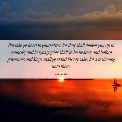 Picture 06 - Mark 13:9 ASV - But take ye heed to yourselves: for they shall - Bible Verse Picture