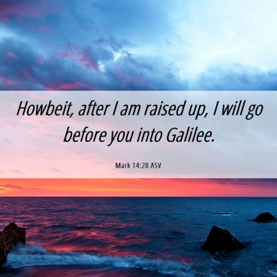 Picture 06 - Mark 14:28 ASV - Howbeit, after I am raised up, I will go before - Bible Verse Picture