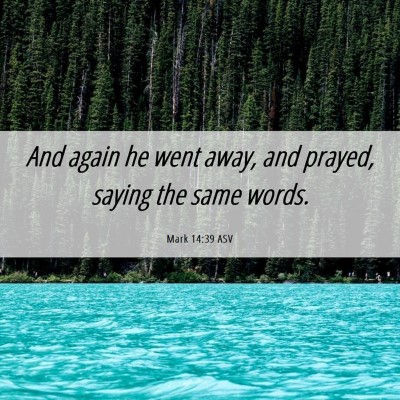 Picture 06 - Mark 14:39 ASV - And again he went away, and prayed, saying the - Bible Verse Picture