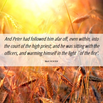 Picture 06 - Mark 14:54 ASV - And Peter had followed him afar off, even within, - Bible Verse Picture