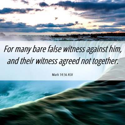 Picture 06 - Mark 14:56 ASV - For many bare false witness against him, and - Bible Verse Picture