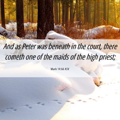 Picture 06 - Mark 14:66 ASV - And as Peter was beneath in the court, there - Bible Verse Picture