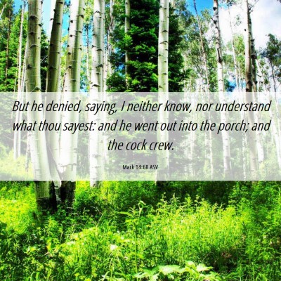 Picture 06 - Mark 14:68 ASV - But he denied, saying, I neither know, nor - Bible Verse Picture